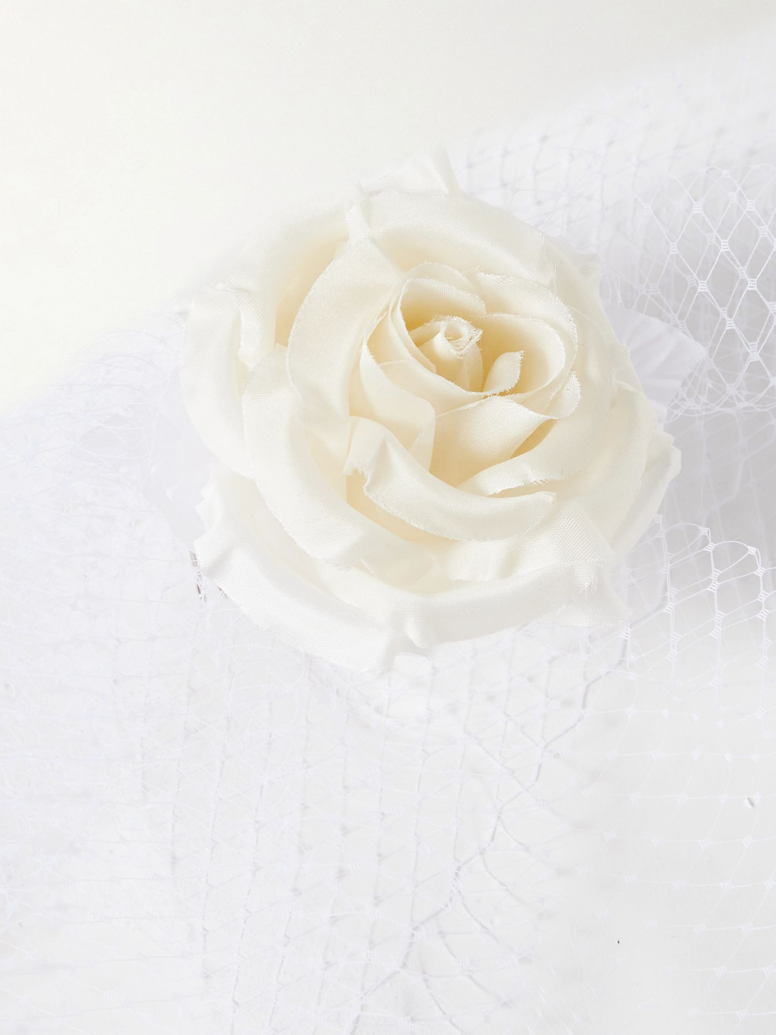 Embellished silk-tulle veil White - 4