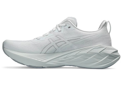 Asics NOVABLAST 4 outlook