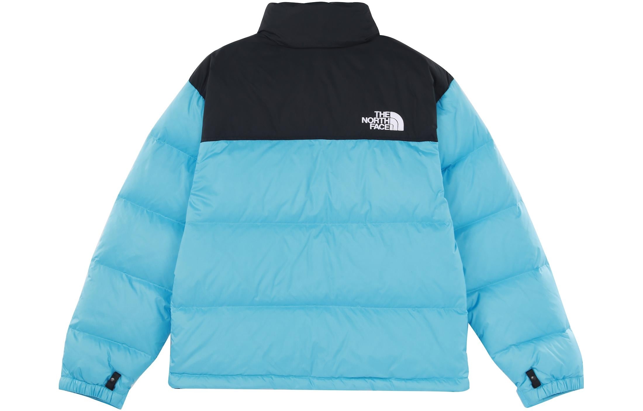 THE NORTH FACE 1996 Retro Nuptse 700 NF0A3C8D-3X5 - 2