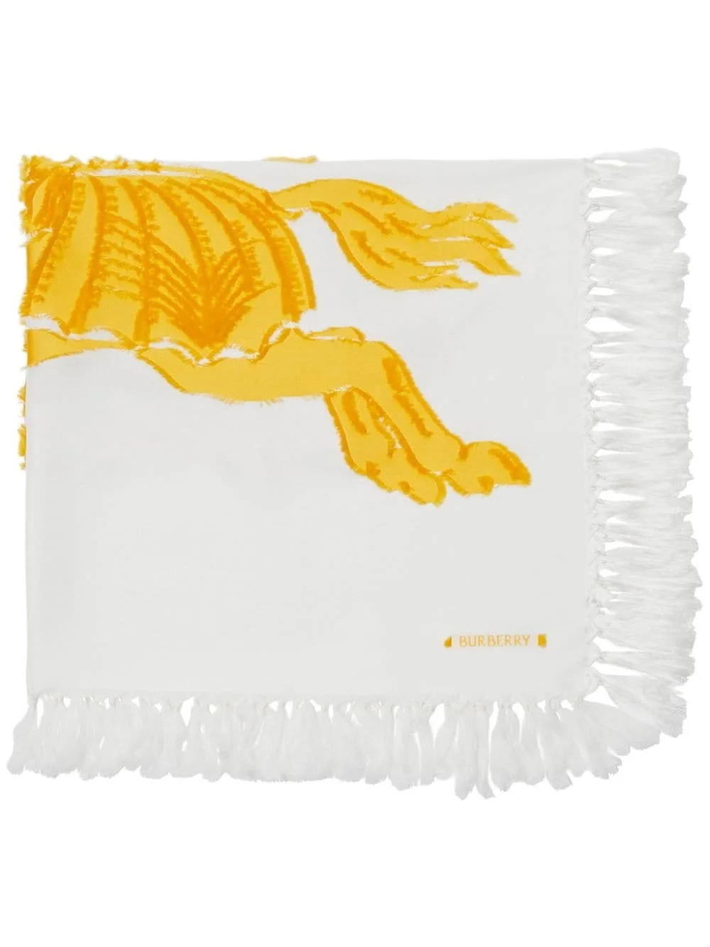 EKD-motif fringed scarf - 1
