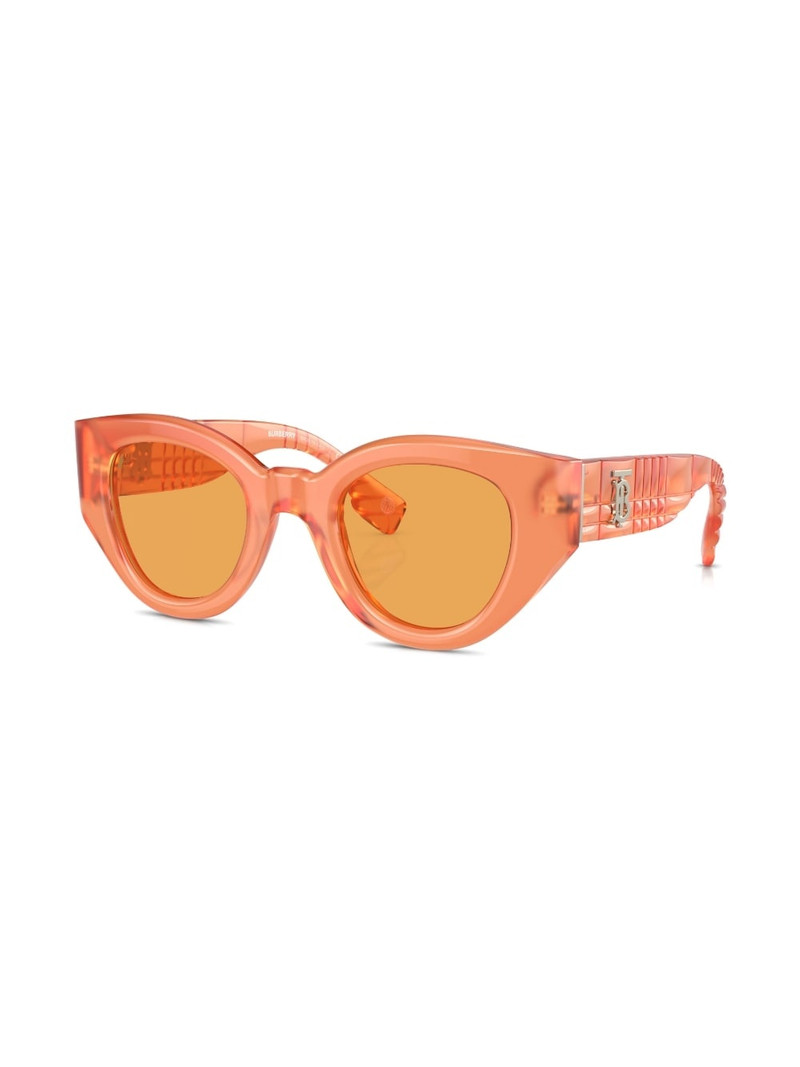 Meadow tinted-lenses sunglasses 3