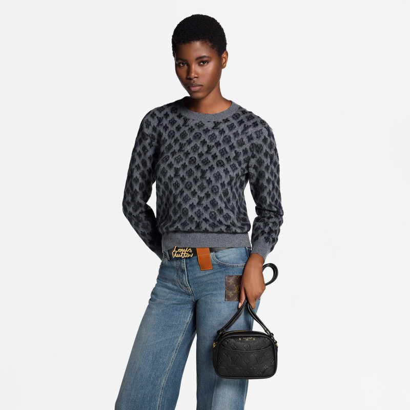 Louis Vuitton Tiny Camera Bag outlook