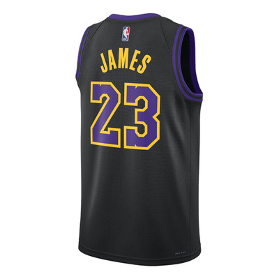 Nike Nike Dri-FIT NBA Swingman Jersey 2023/24 City Edition 'Los Angeles Lakers Lebron James' DX8506-012 outlook