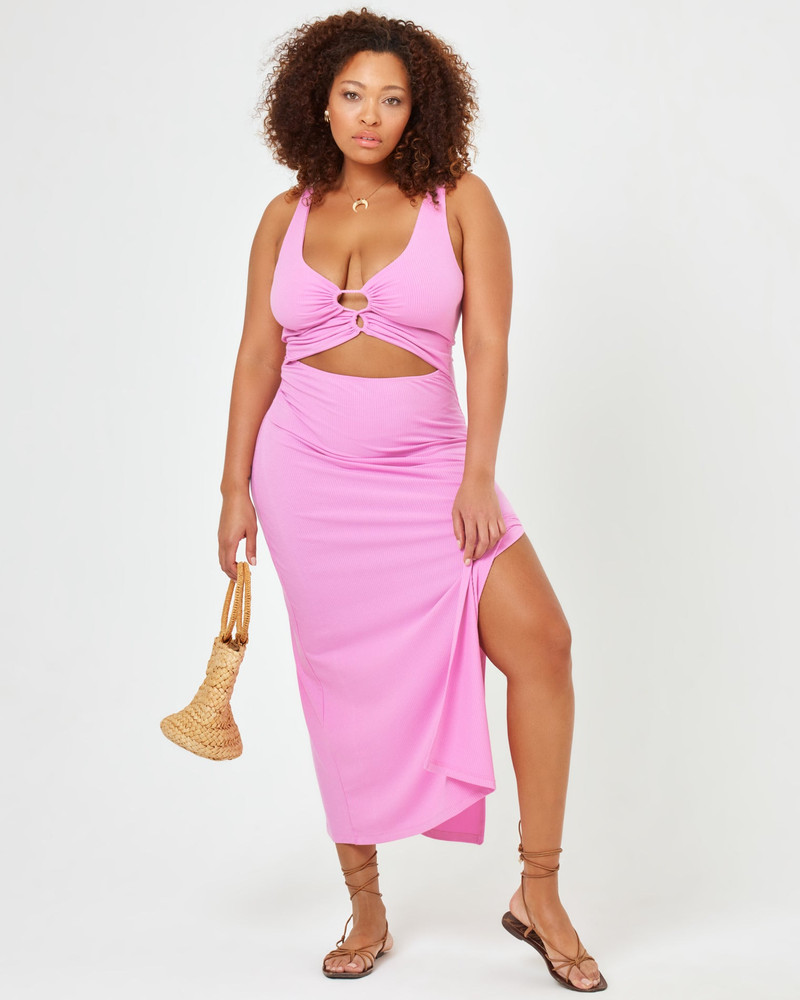 L*SPACE Camille Dress outlook