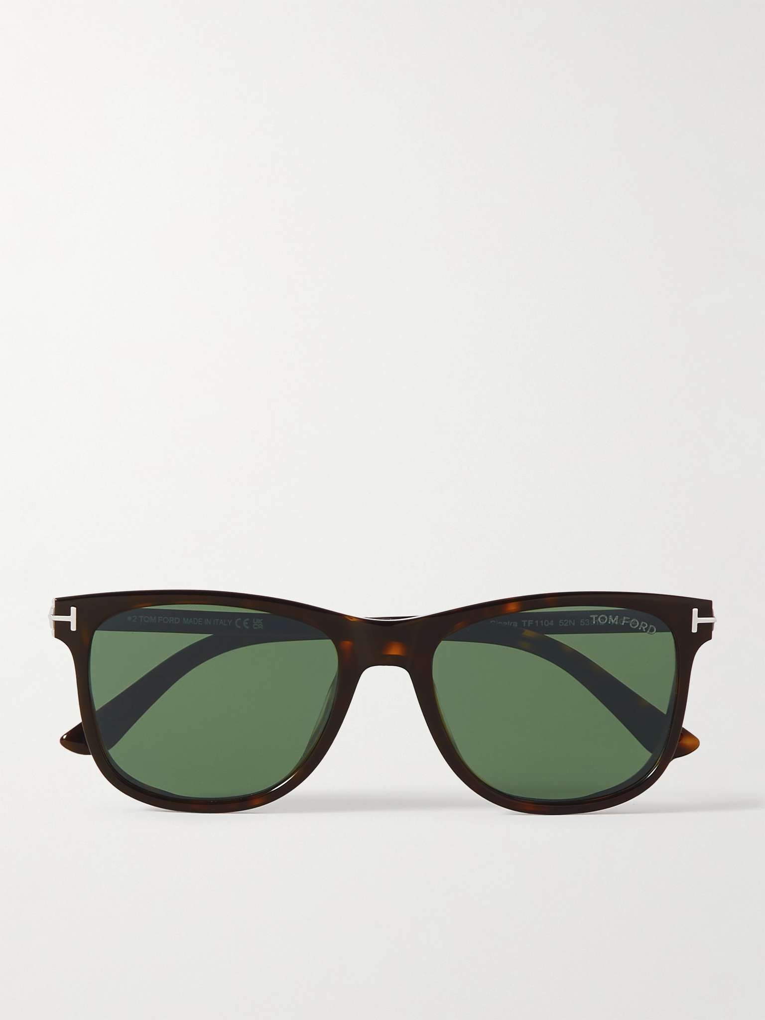 Sinatra D-Frame Tortoiseshell Acetate and Silver-Tone Sunglasses - 1