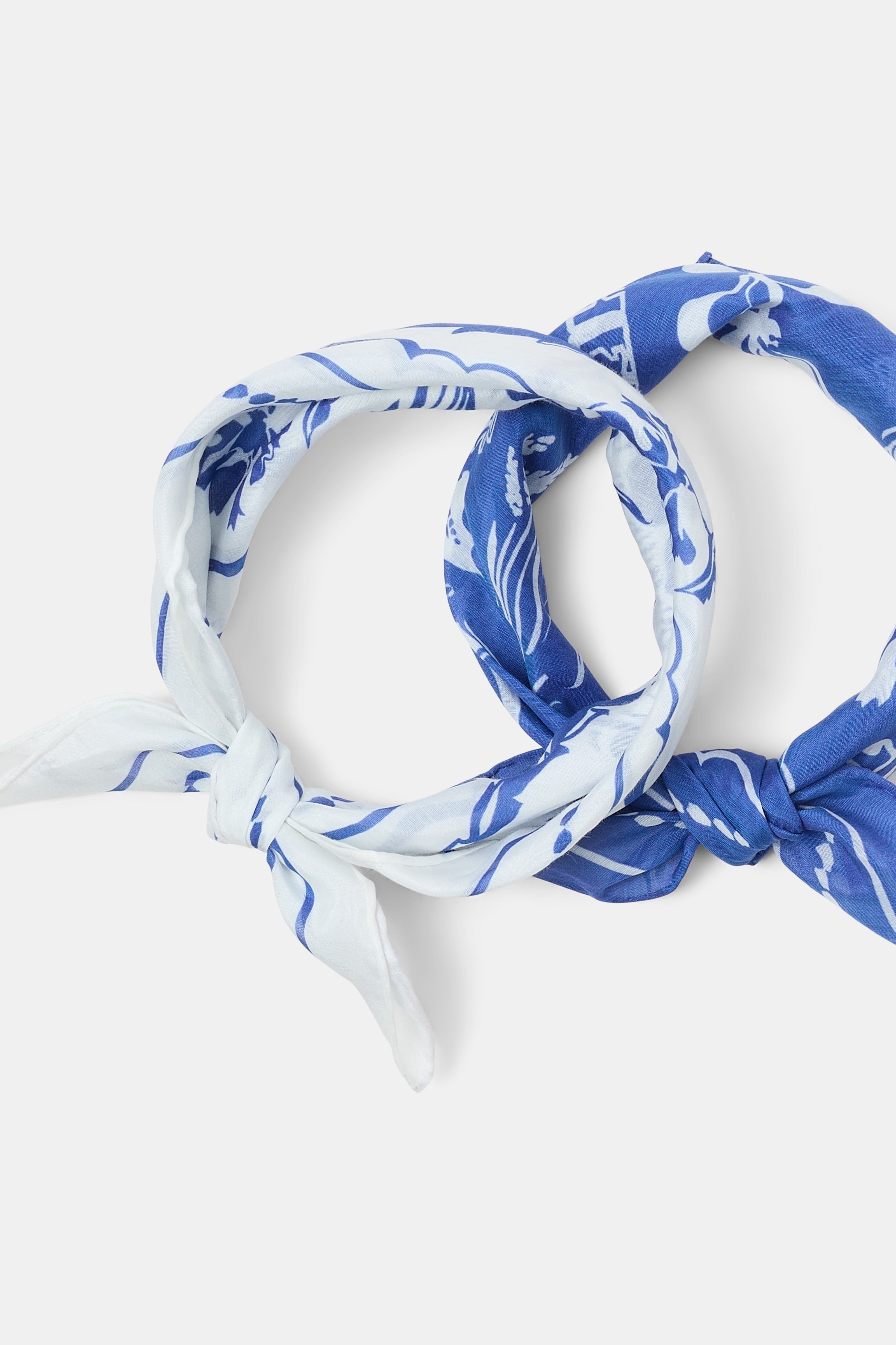 FRIENDS OF DOROTHEE scarf - 6