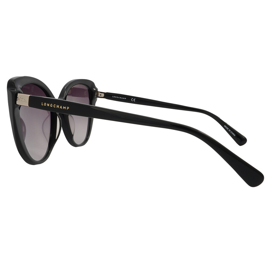 Longchamp Grey Gradient Cat Eye Ladies Sunglasses LO670S 001 54 - 3