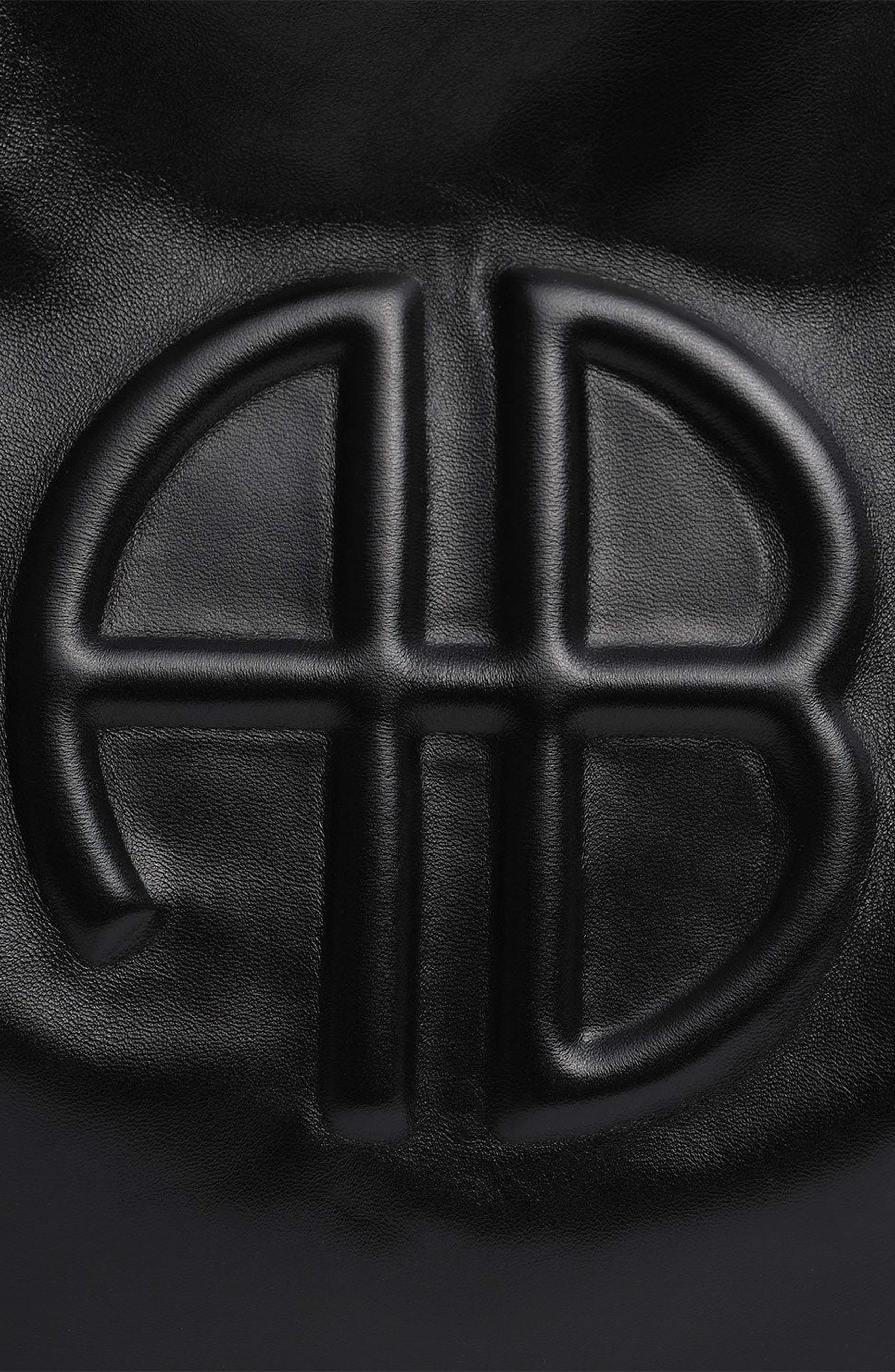 ANINE BING Kate Shoulder Bag in Black at Nordstrom - 4