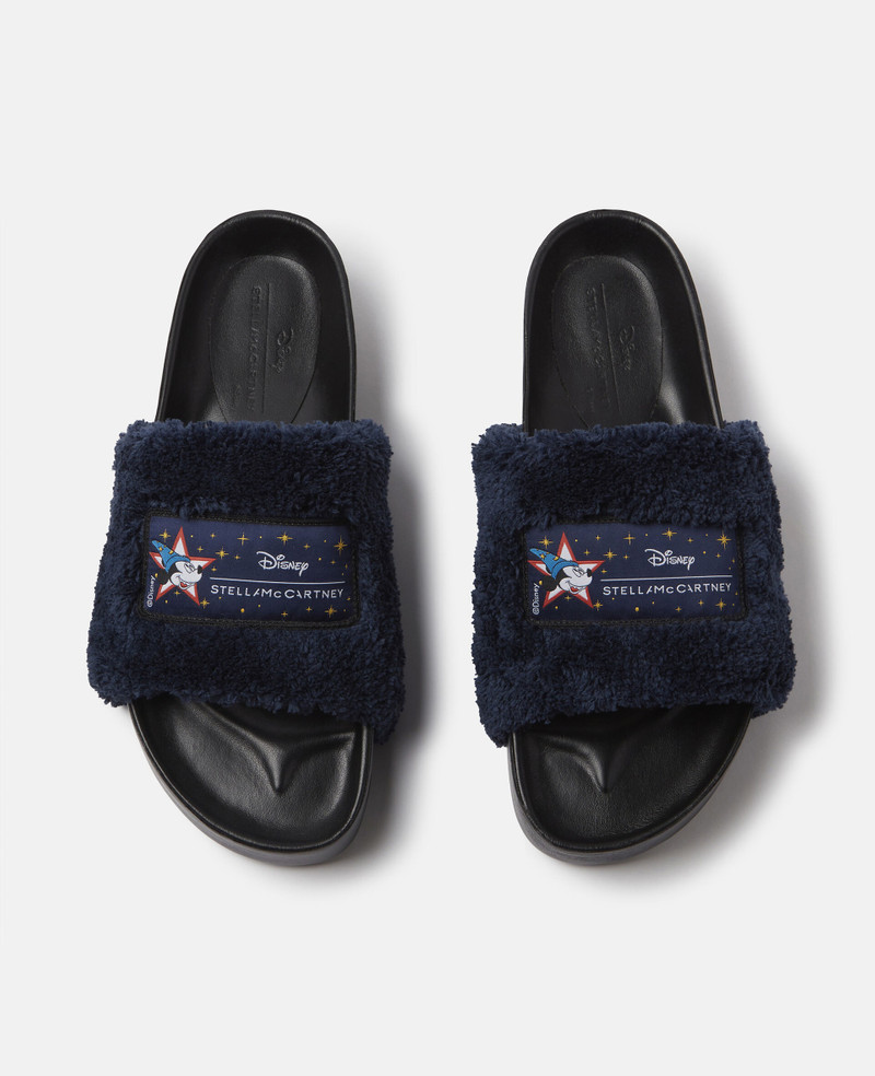 Fantasia Mickey Vesta Slides 4