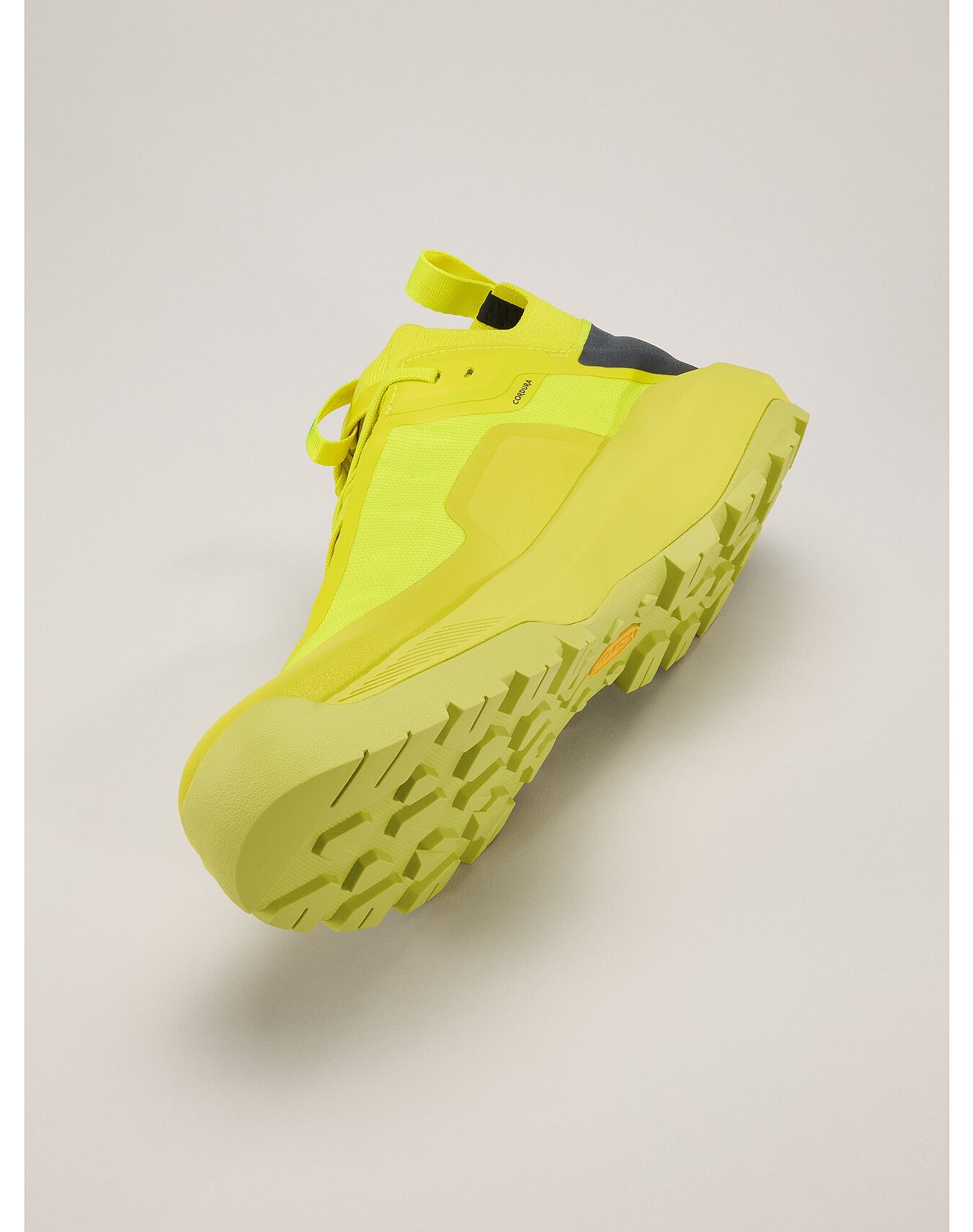 Vertex Alpine GTX Shoe - 5