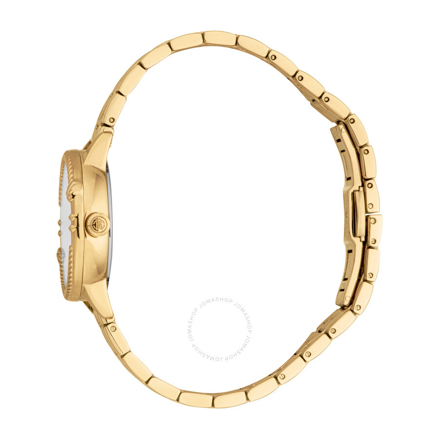 Roberto Cavalli Core Silver-tone Dial Ladies Watch RC5L094M0055 - 3
