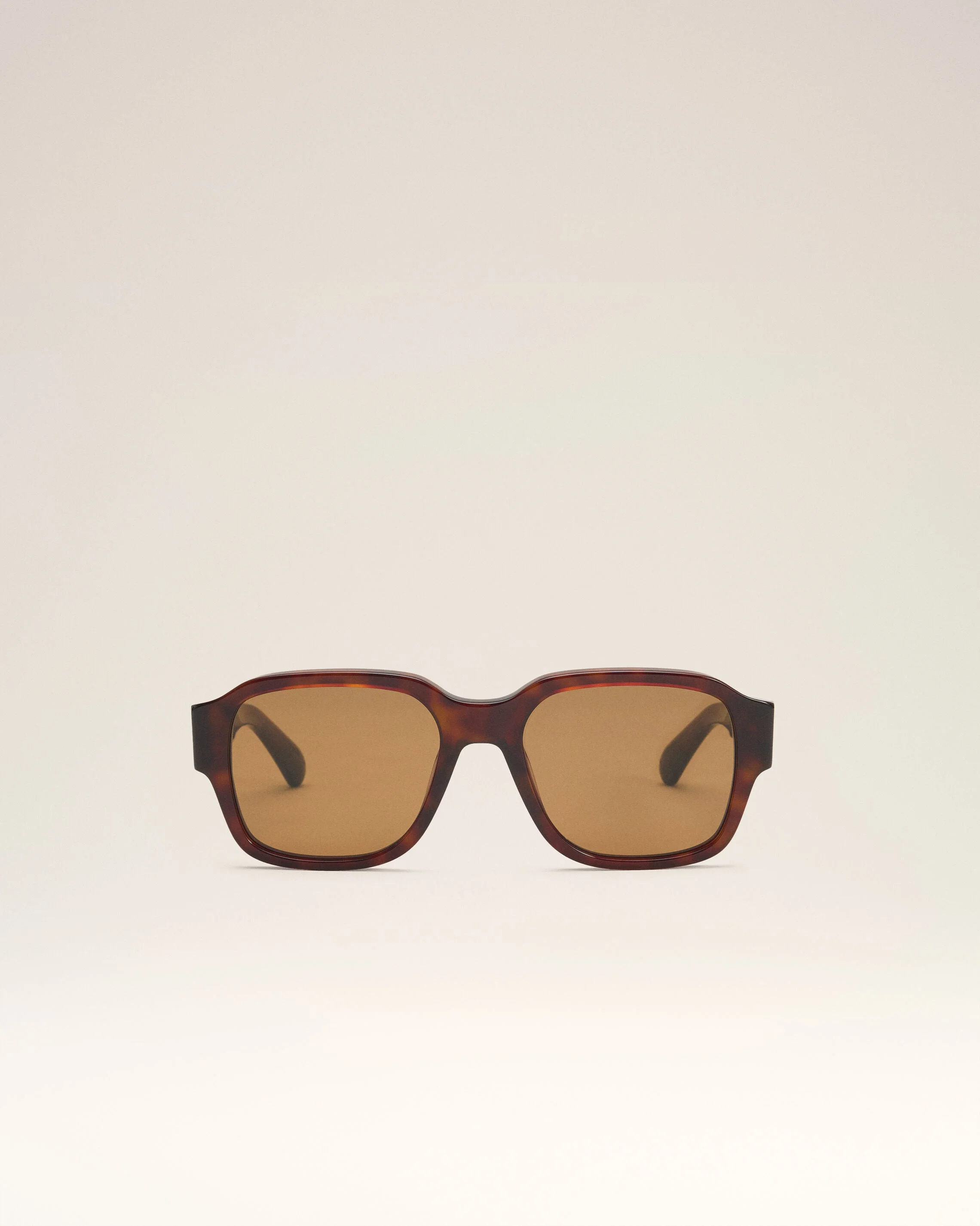 BROWN ACETATE 75006 SUNGLASSES - 1