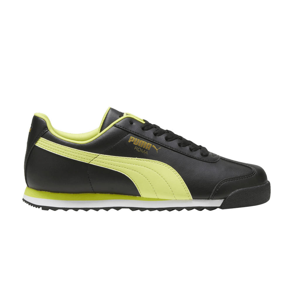 Roma Basic Plus 'Black Lime Sheen' - 1