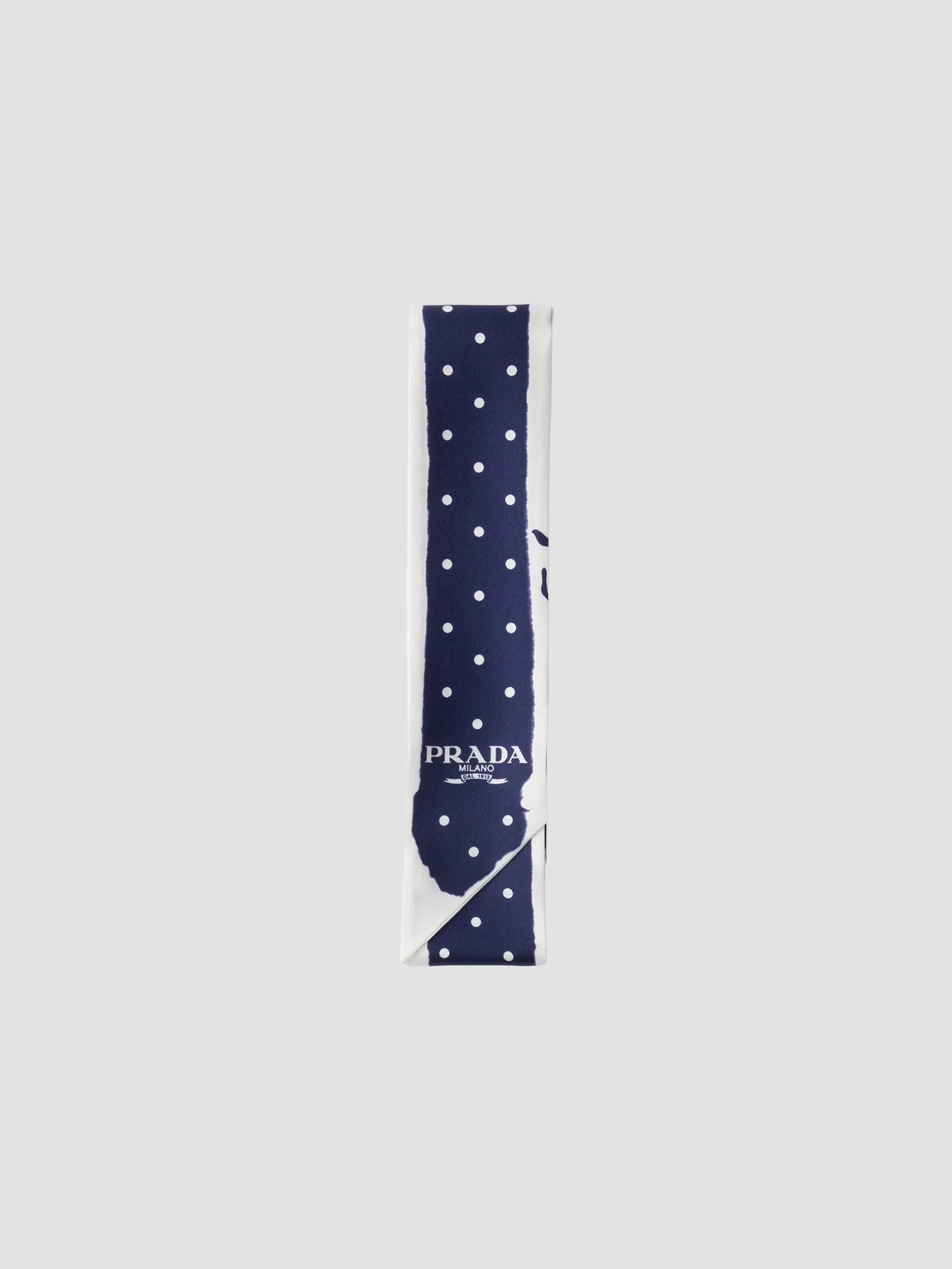 Women's Printed Twill Skinny Scarf - Blue Multi - 1
