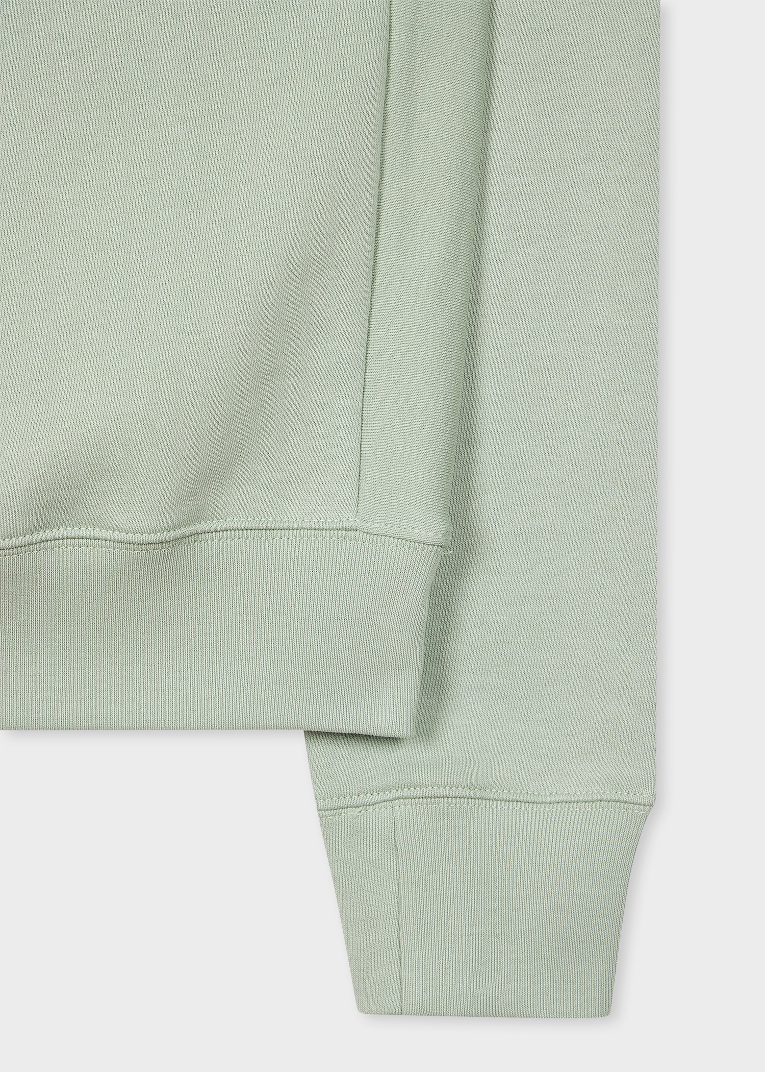 Sage Green Zebra Logo Sweatshirt - 2