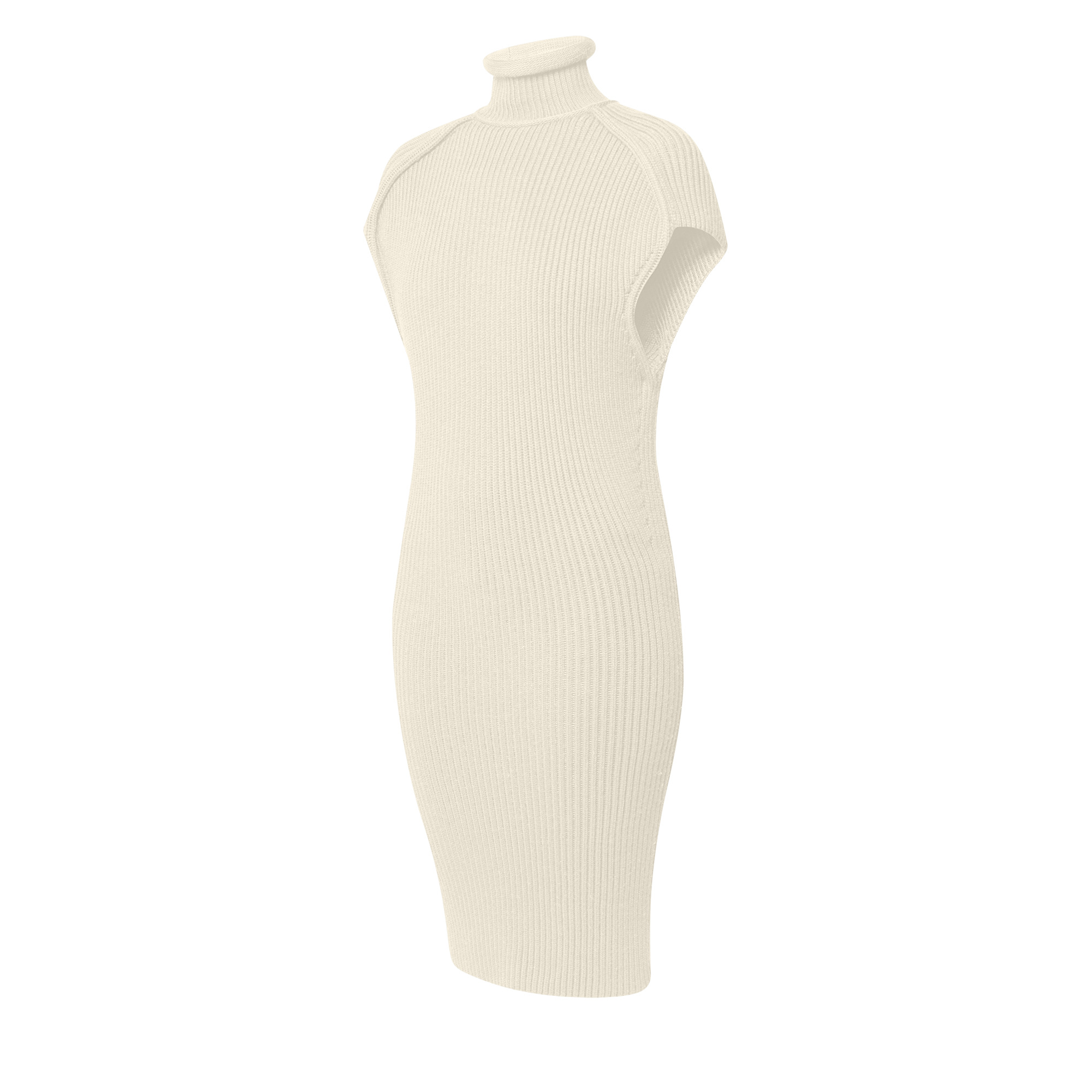 Roll Neck Ribbed Knit Dress - 2