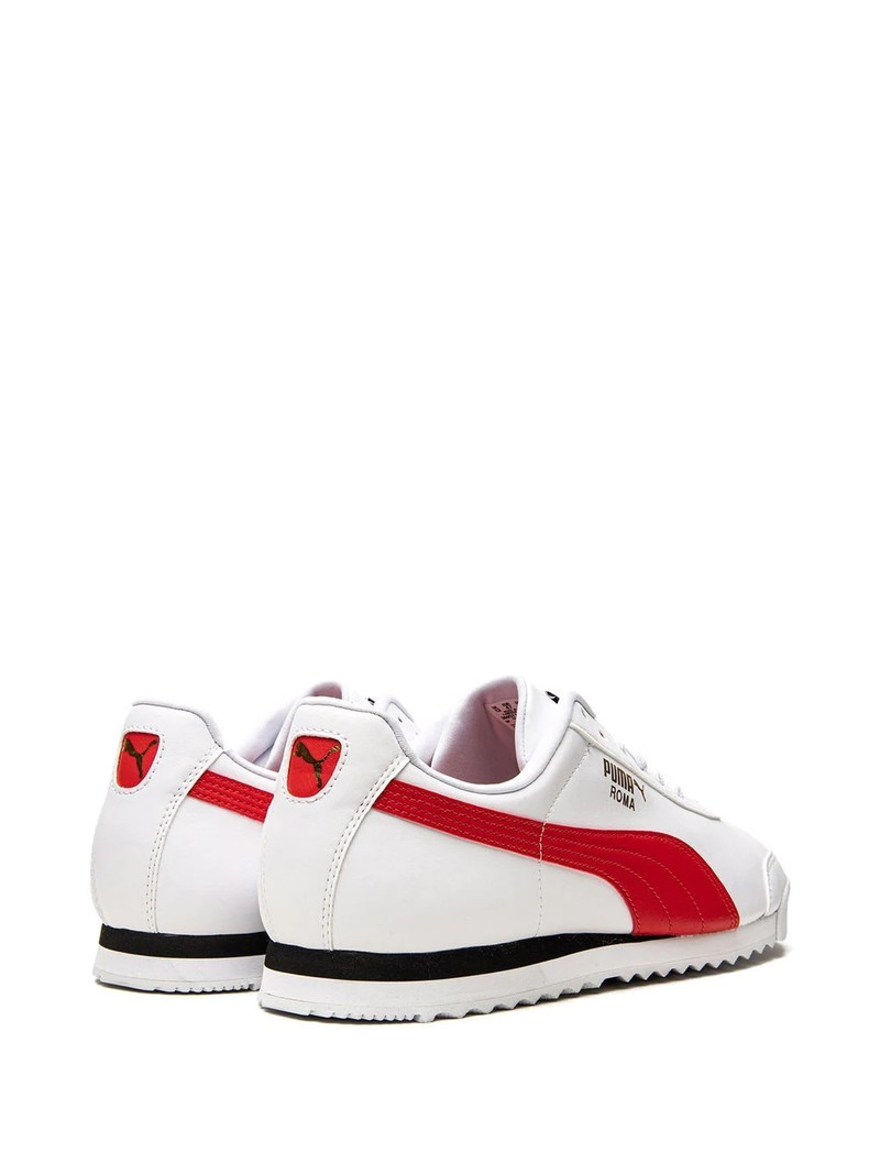 Roma Basic + low-top sneakers 3