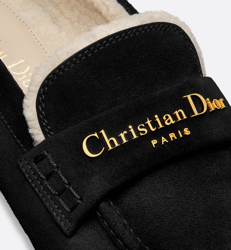 DiorAlps Dior Boy Loafer 5