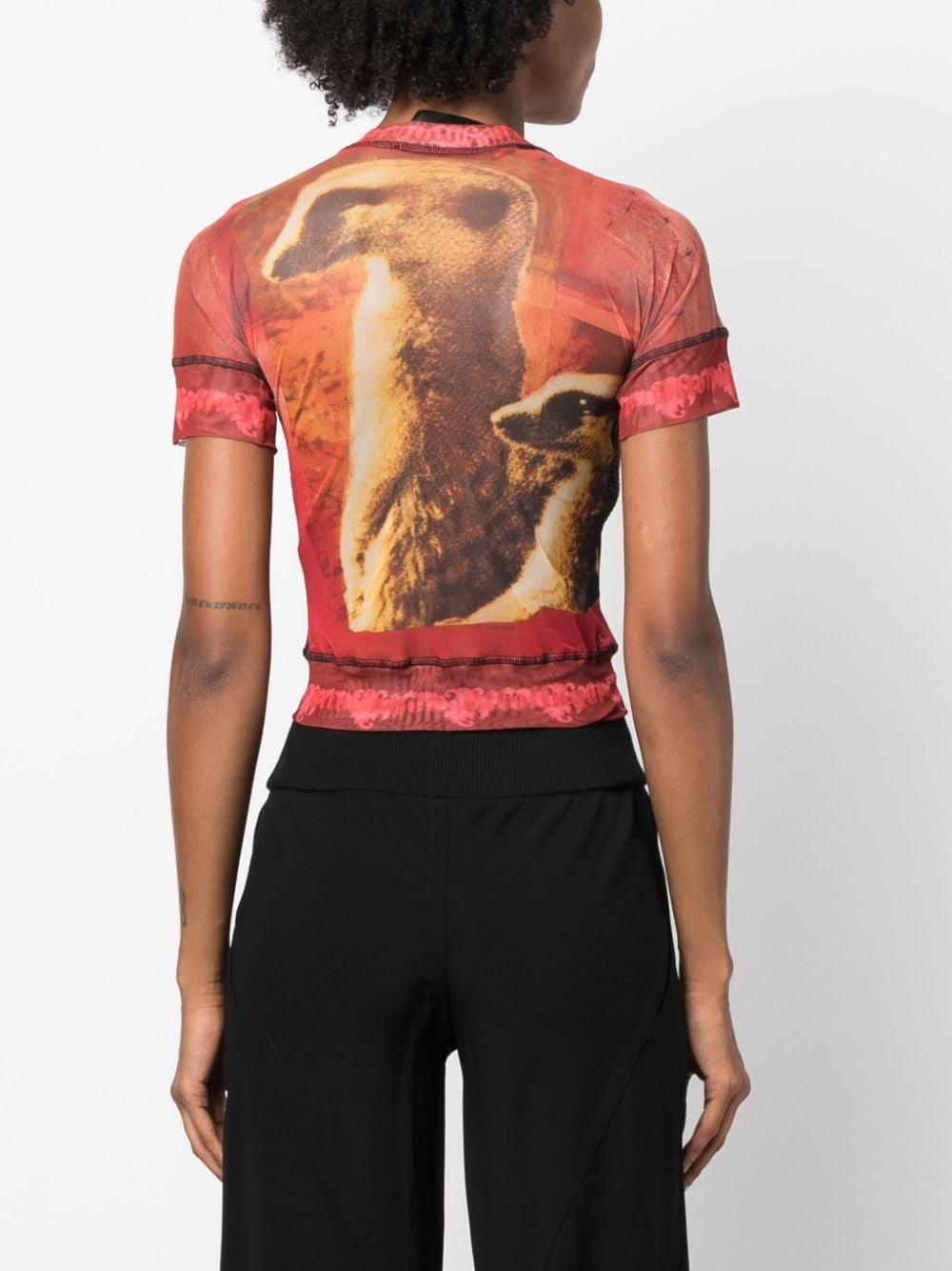panelled animal-print sheer T-shirt - 4