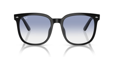 Ray-Ban RB4401D outlook