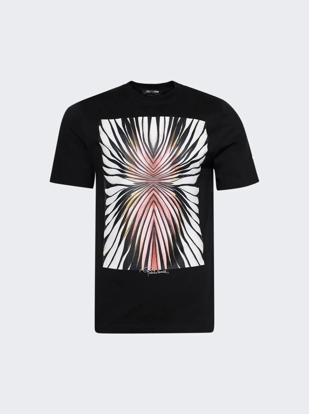 Ray Of Gold Print Placed Tee Black - 1