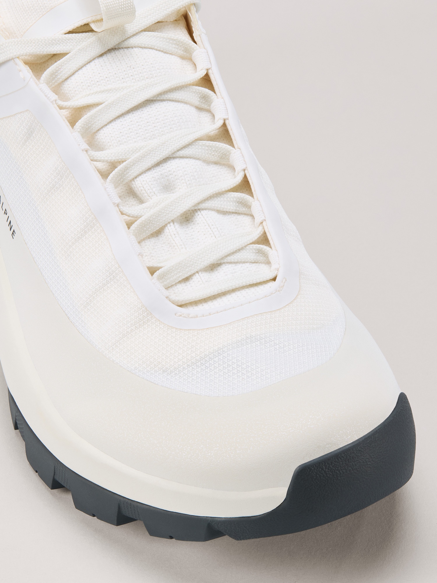 Vertex Alpine GTX Shoe - 2