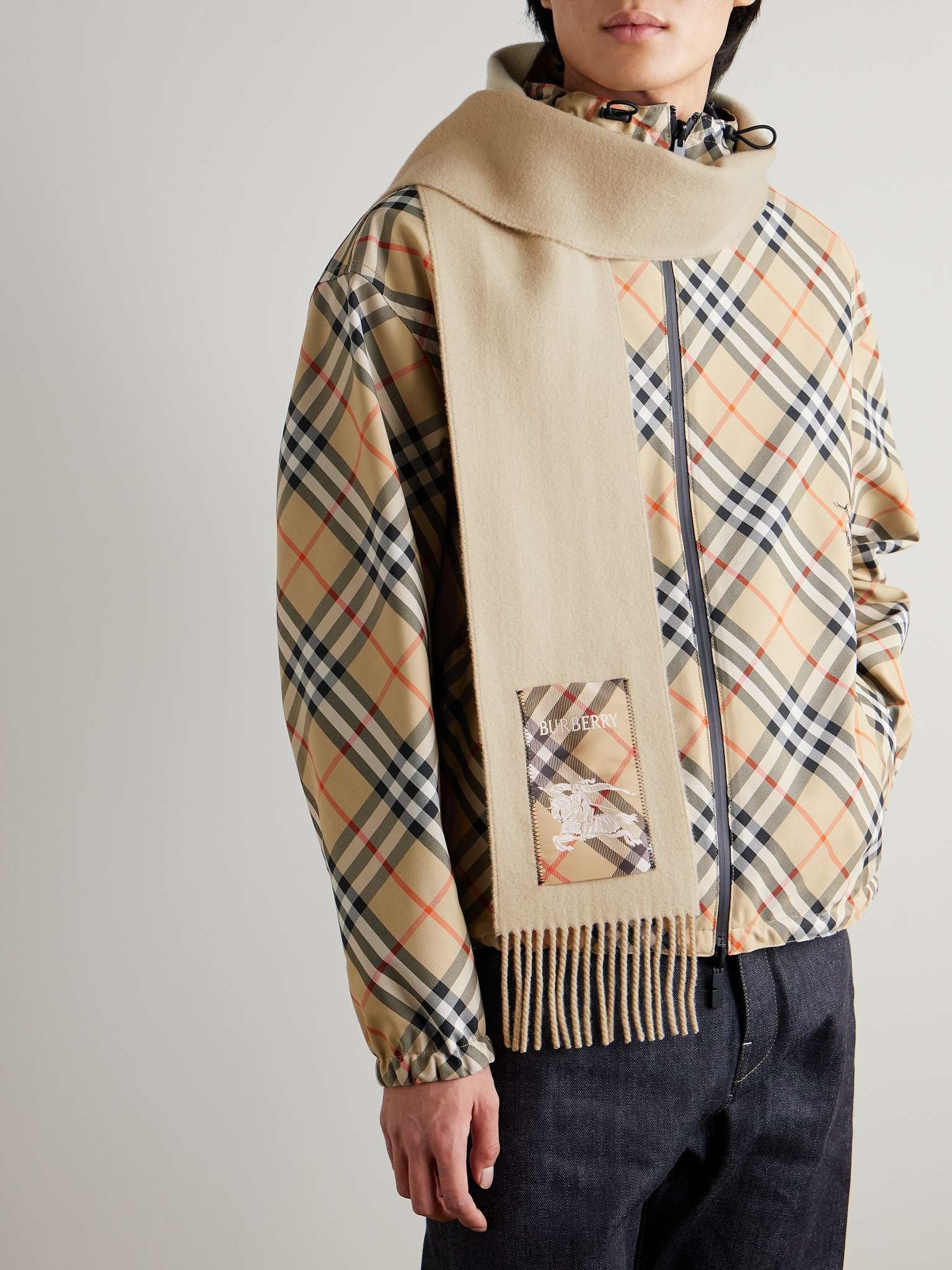 Fringed Appliquéd Cashmere Scarf - 2