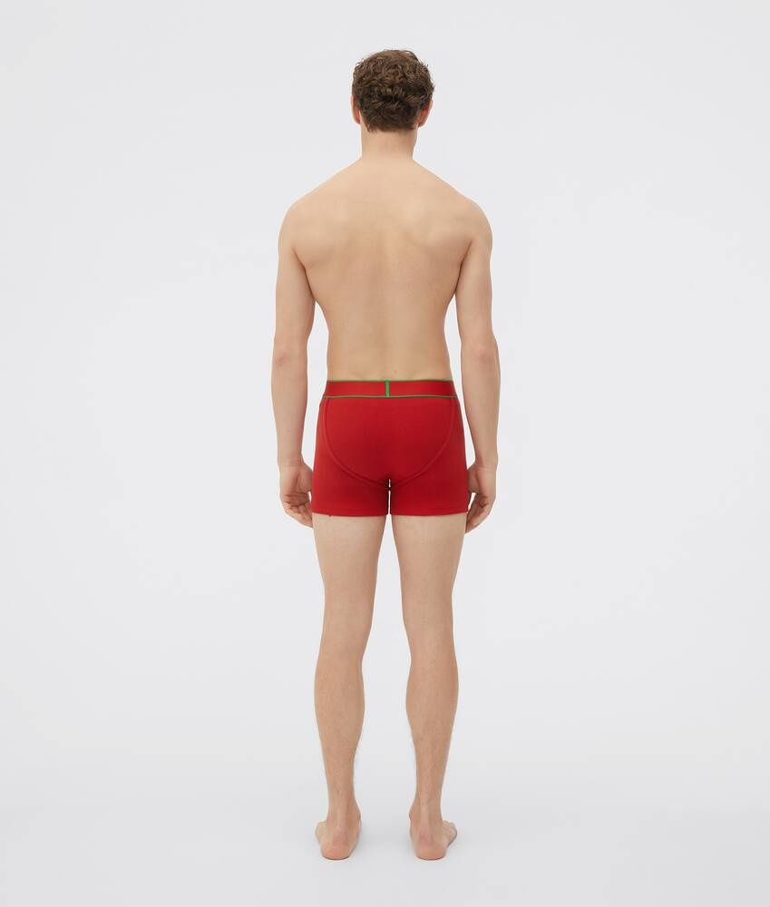 boxer briefs - 3