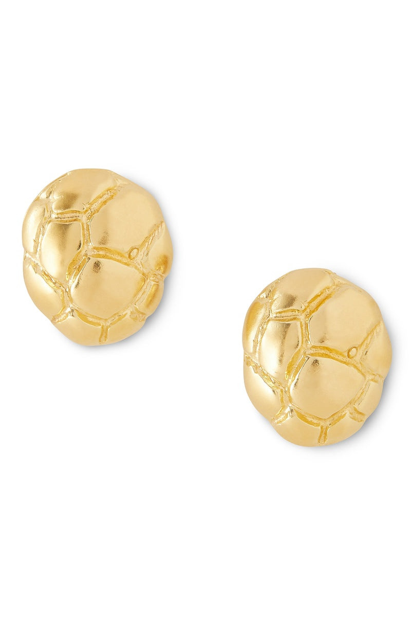 Tiny Tortoise Earrings 1