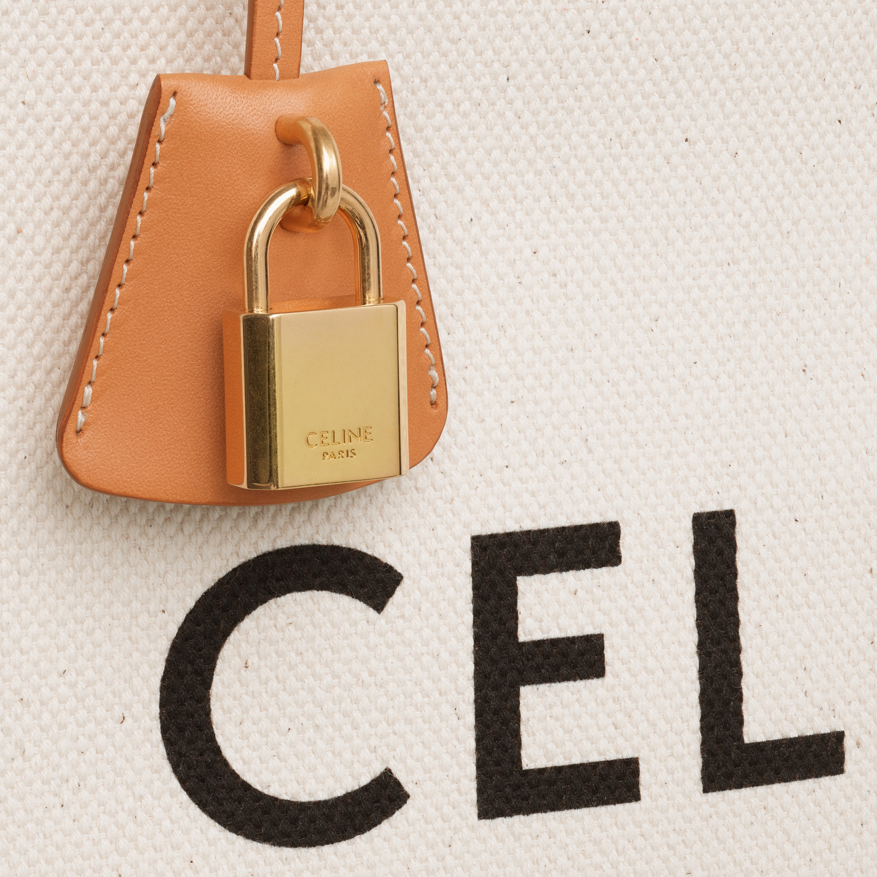 Vertical Cabas Celine in Canvas with Celine print and calfskin - 4