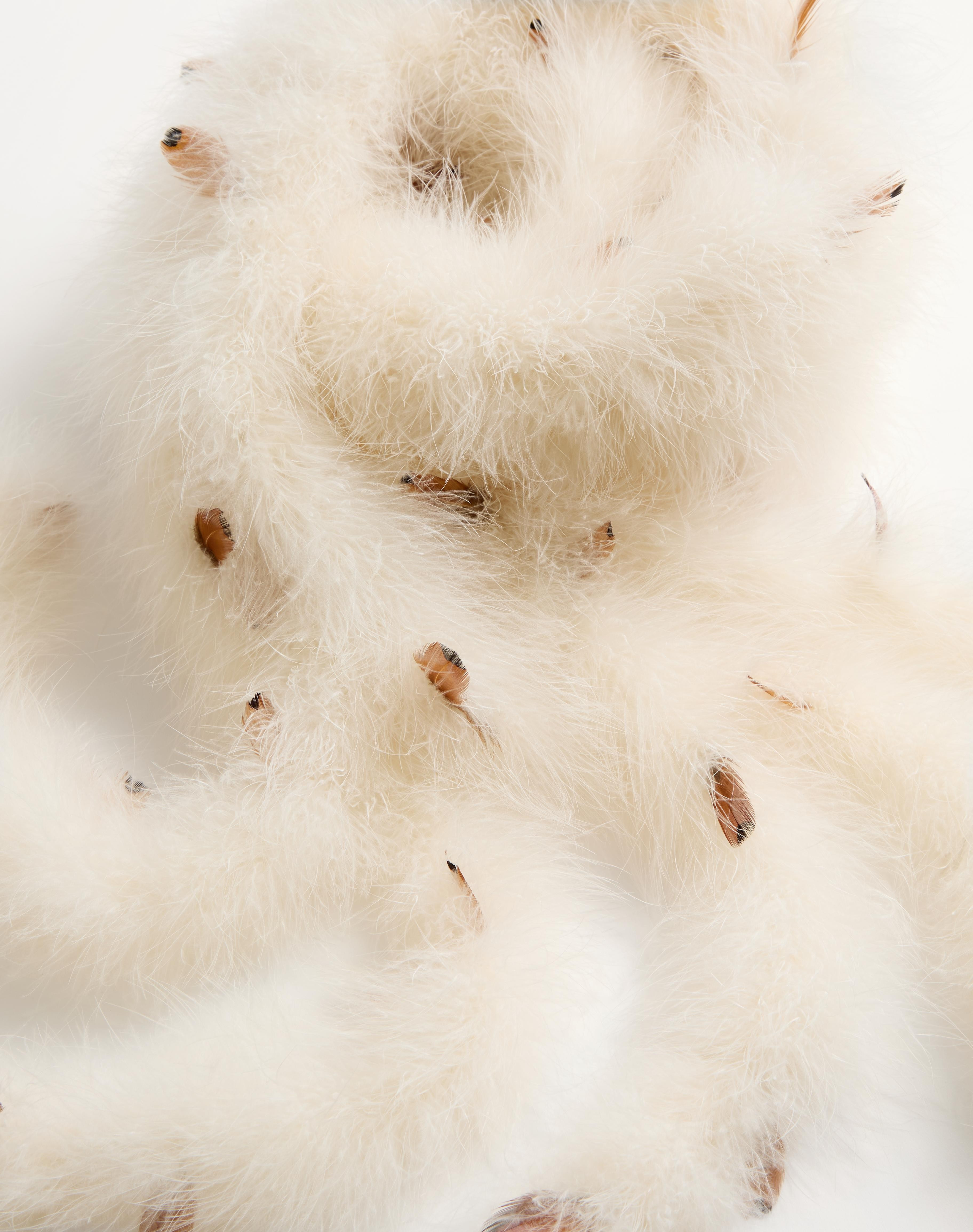 VALENTINO FEATHERS SCARF WITH TURKEY AND PHEASANT FEATHERS - 4