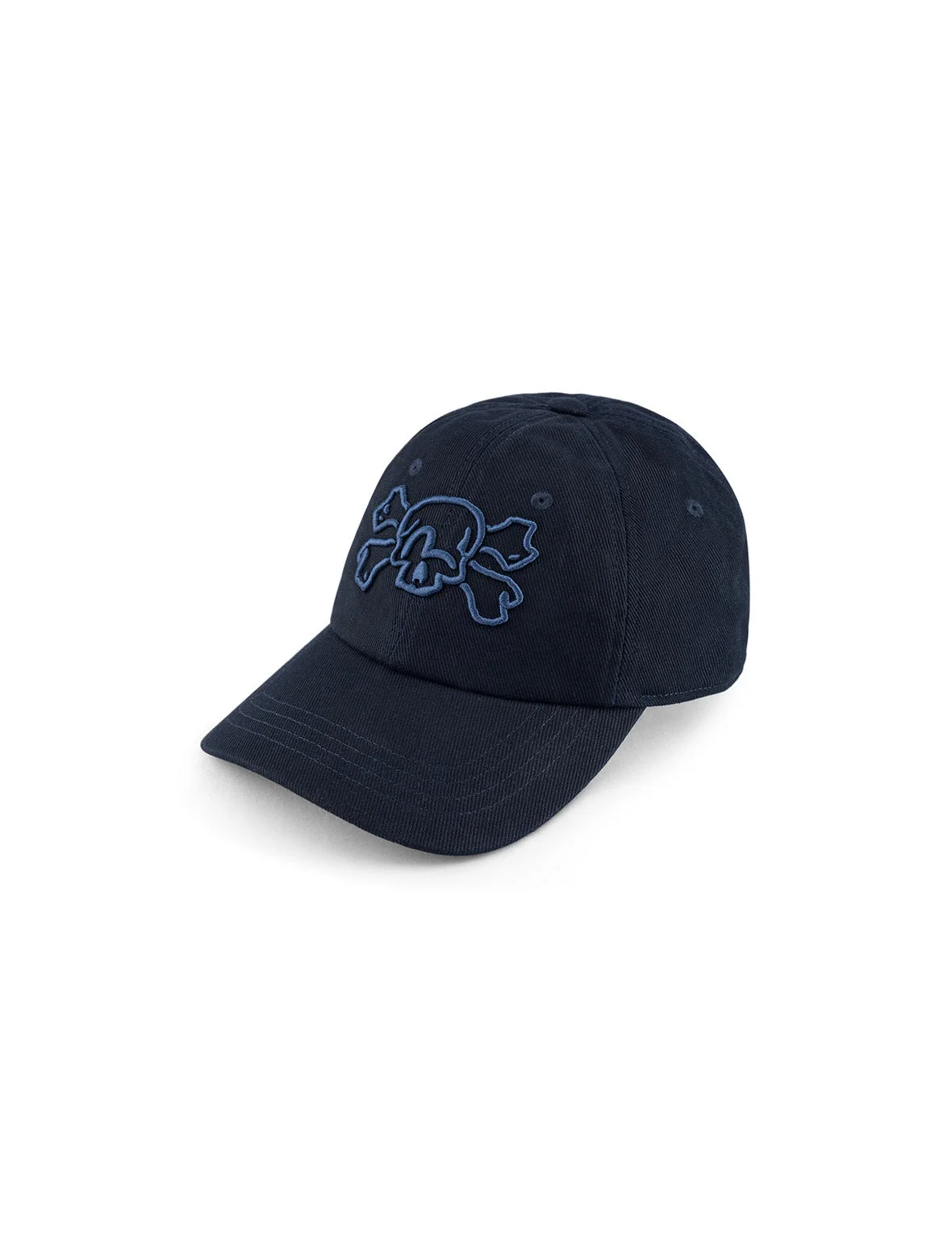 Skull and Seagull Embroidery Cap - 1