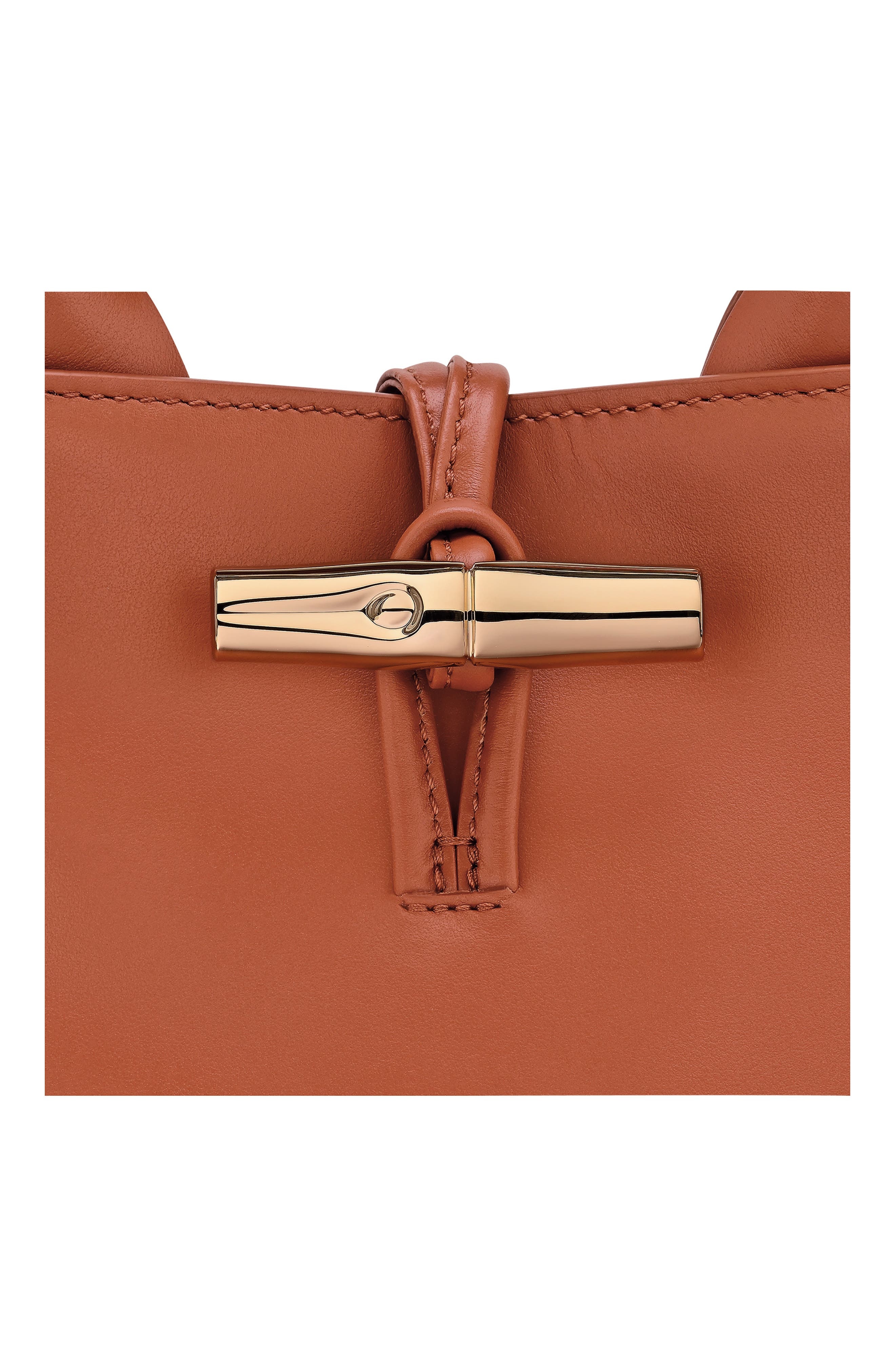 Longchamp Small Le Roseau Leather Tote in Bark at Nordstrom - 6