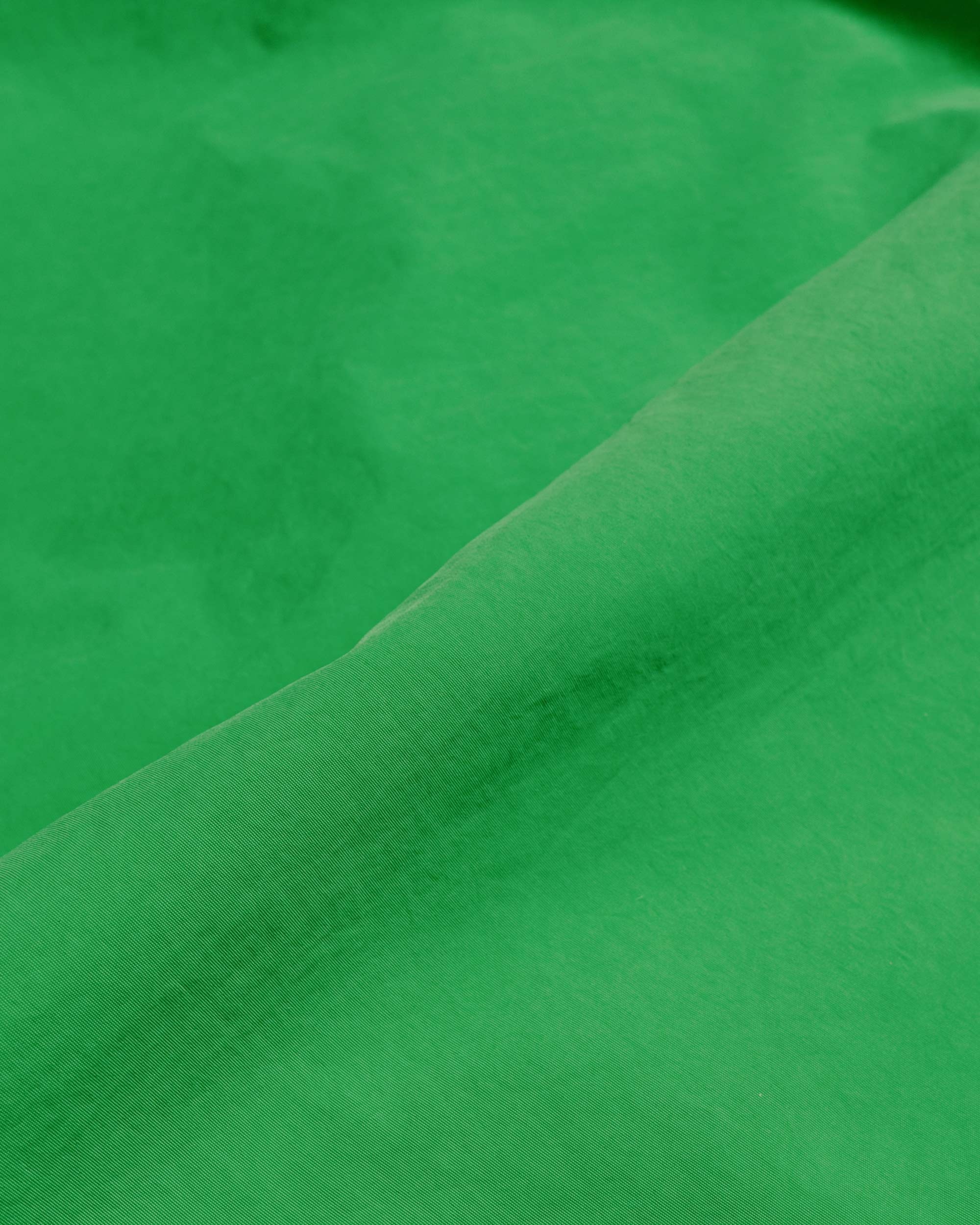 Stüssy Stock Water Short Classic Green - 2