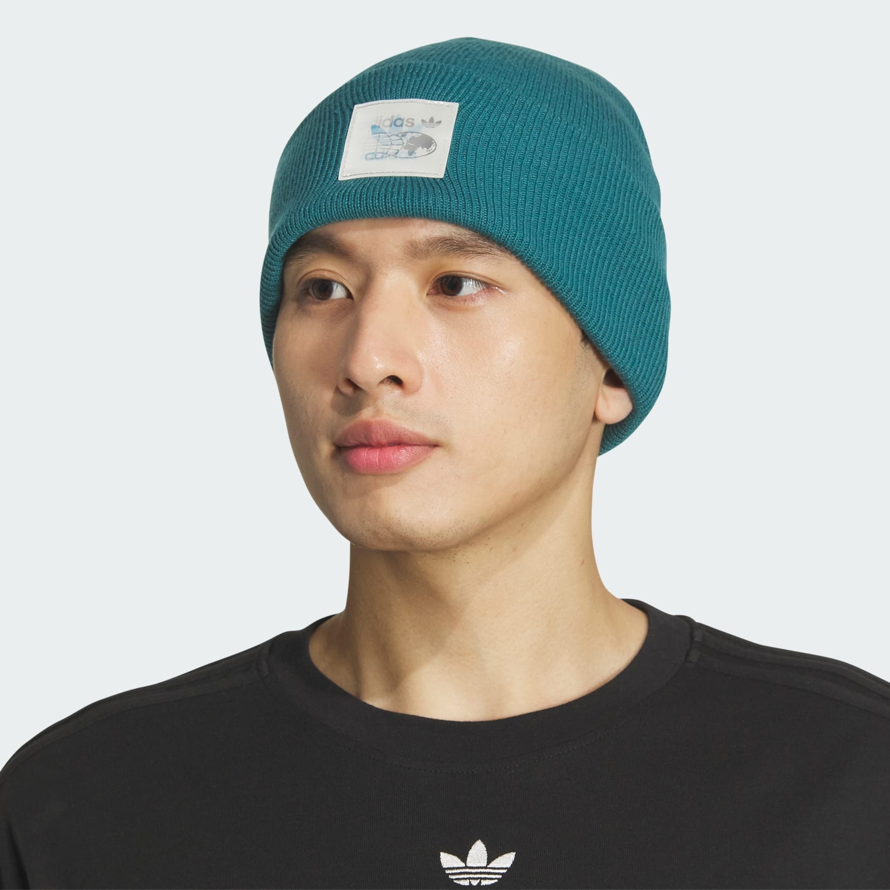 Lenticular Tall Cuff Beanie - 4