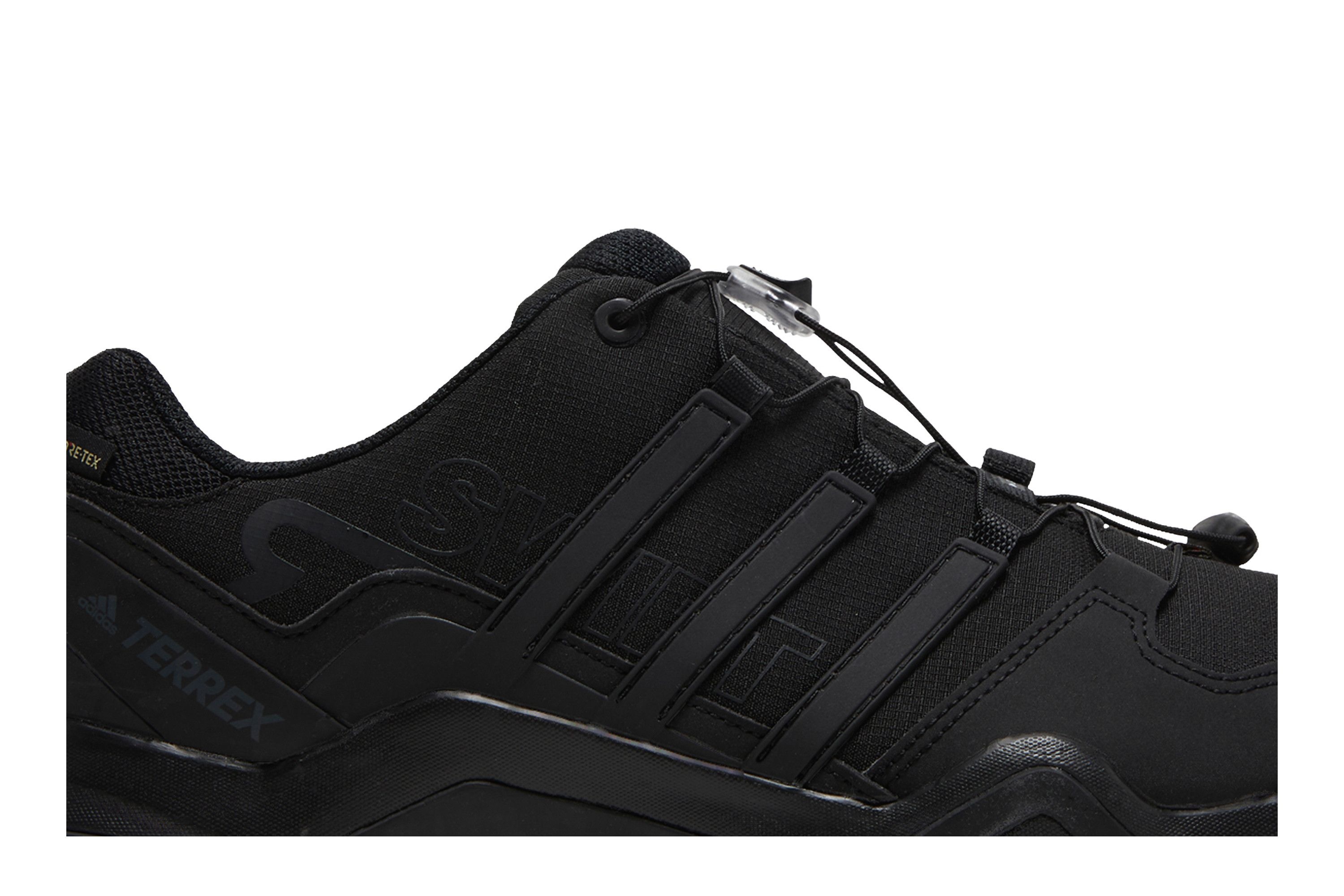 Terrex Swift R2 GTX 'Triple Black' - 2