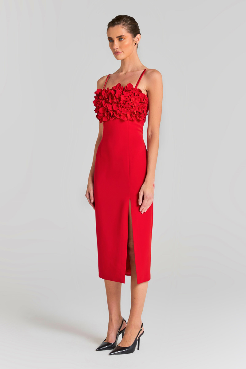 Jasmine Red Dress 3