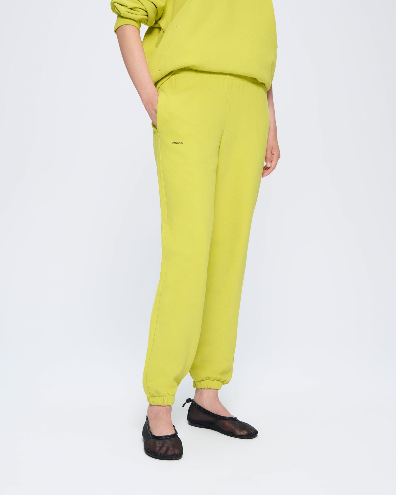 Womens 365 Midweight Track Pants - Auroral Olive - 4