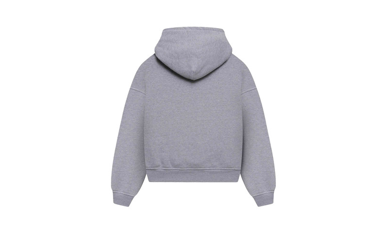 Rhude FRENCH RIVIERA PATCH HOODIE HEATHER "Grey" outlook