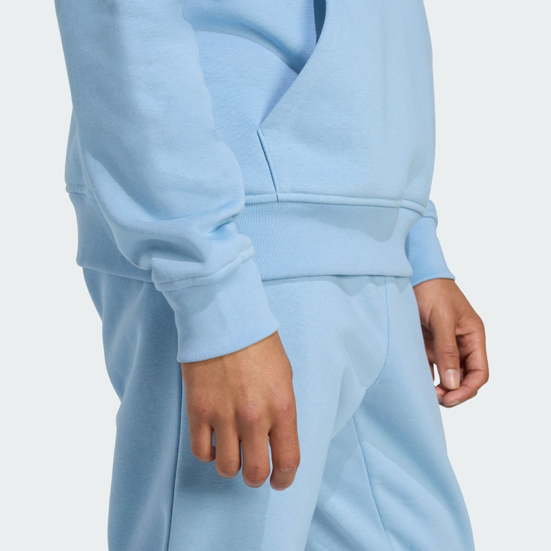 Trefoil Essentials Hoodie 6