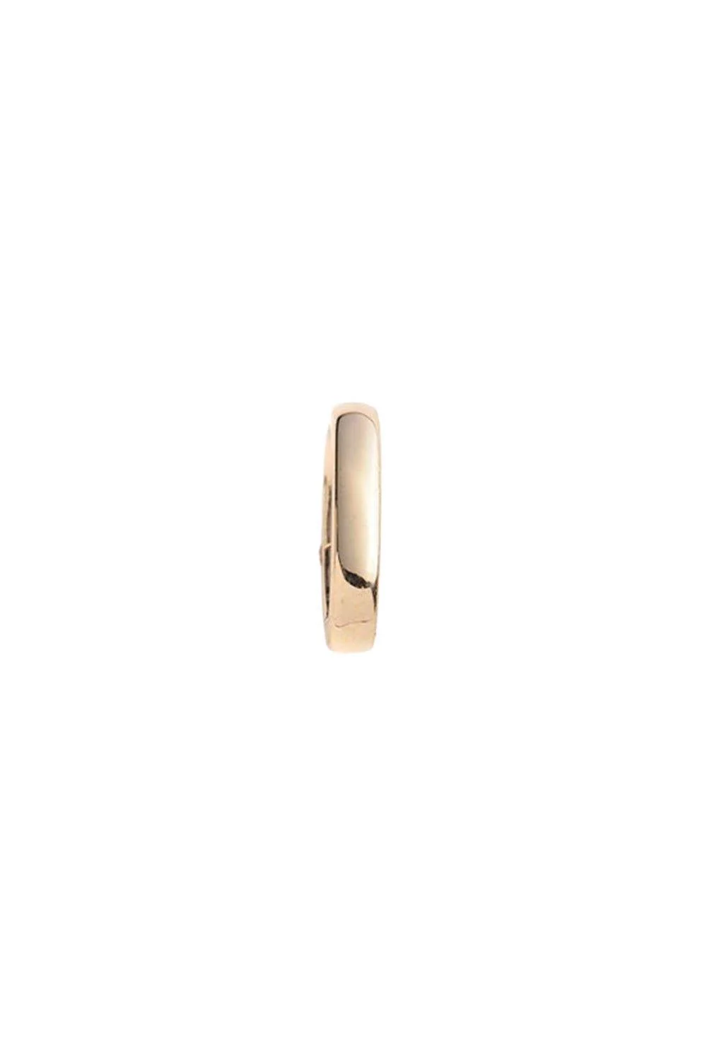 Medium Oval Push Gate Annex Link - 1