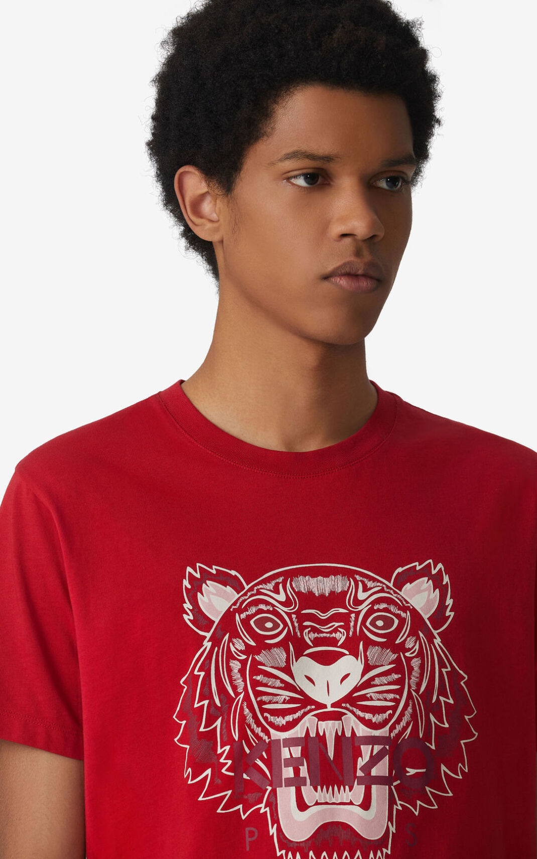 Tiger t-shirt - 3