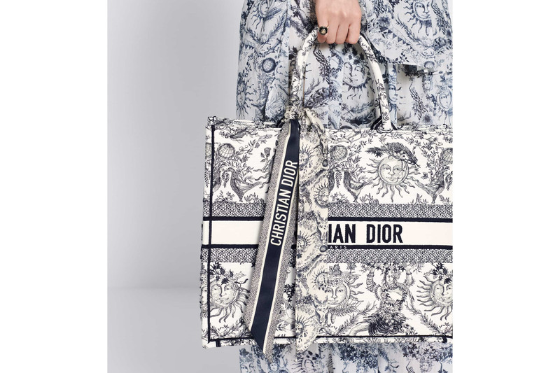 Dior Toile de Jouy Soleil Mitzah Scarf outlook
