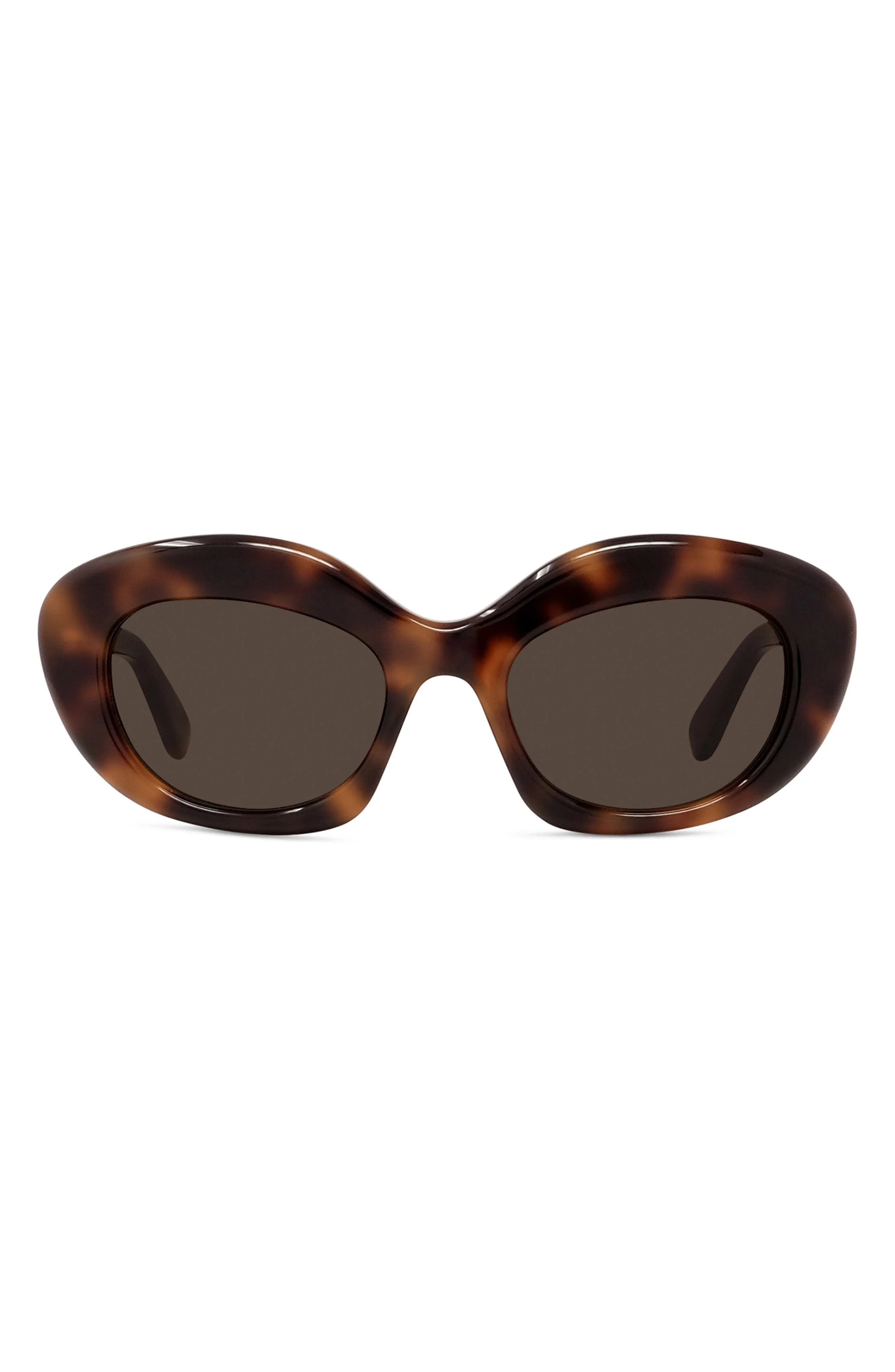 Loewe Curvy 51mm Cat Sunglasses in Dark Havana /Brown at Nordstrom - 1