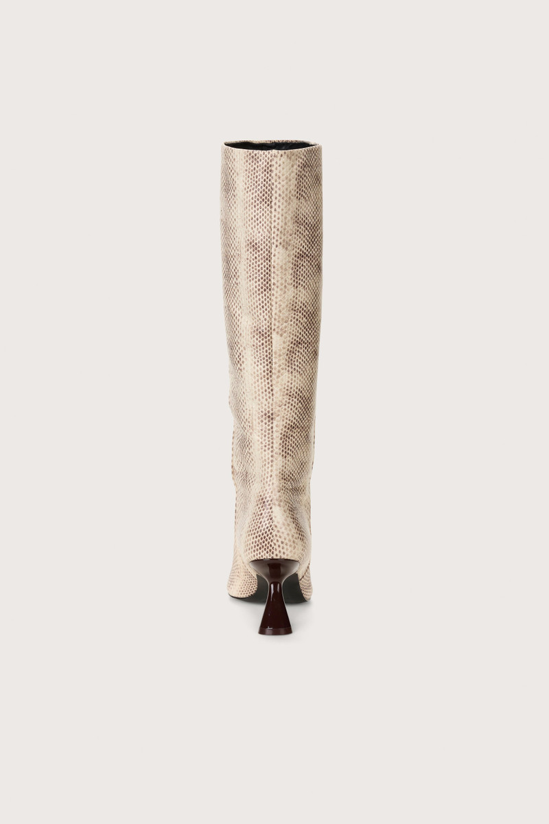 WREN BOOT 3