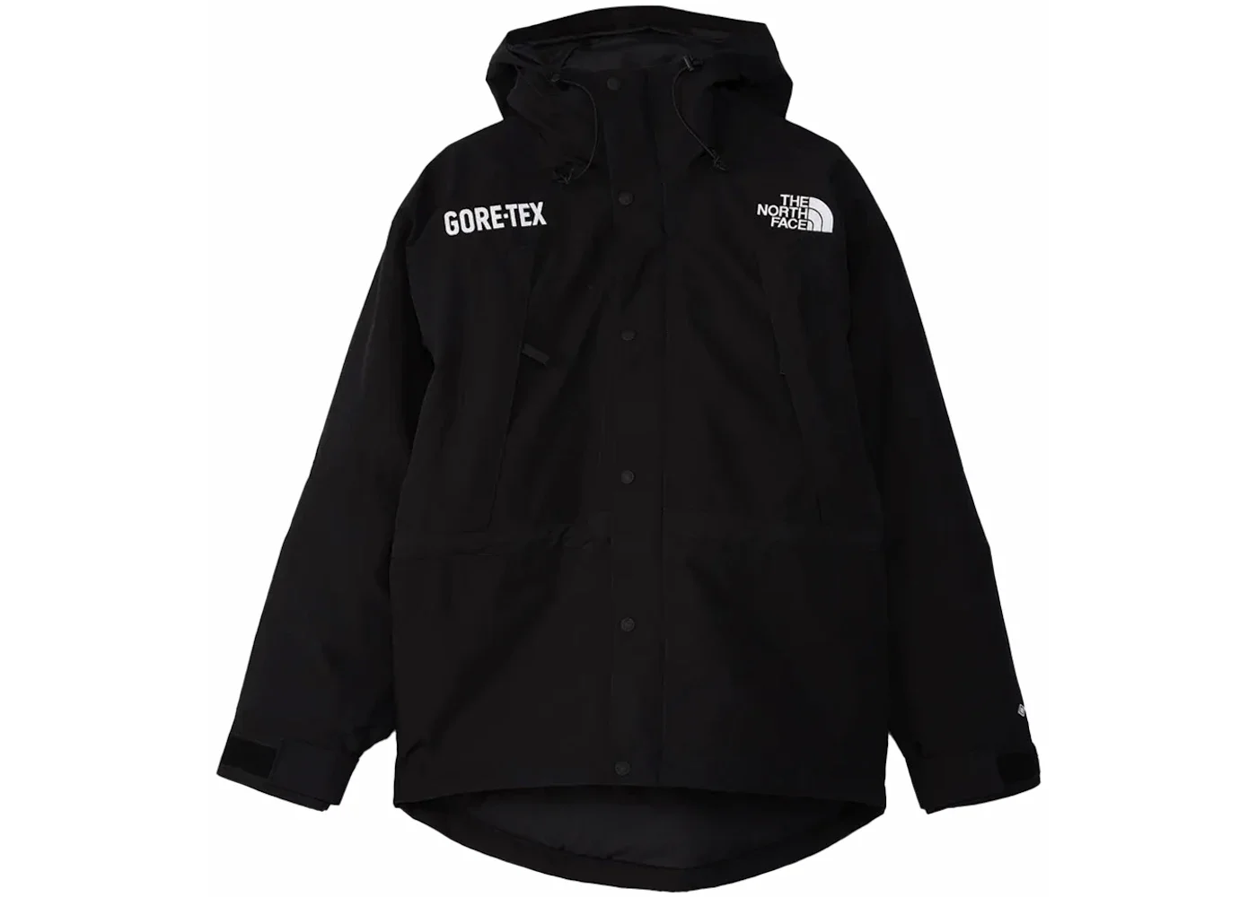 The North Face GTX Mountain Guide Insulated Parka Black - 1
