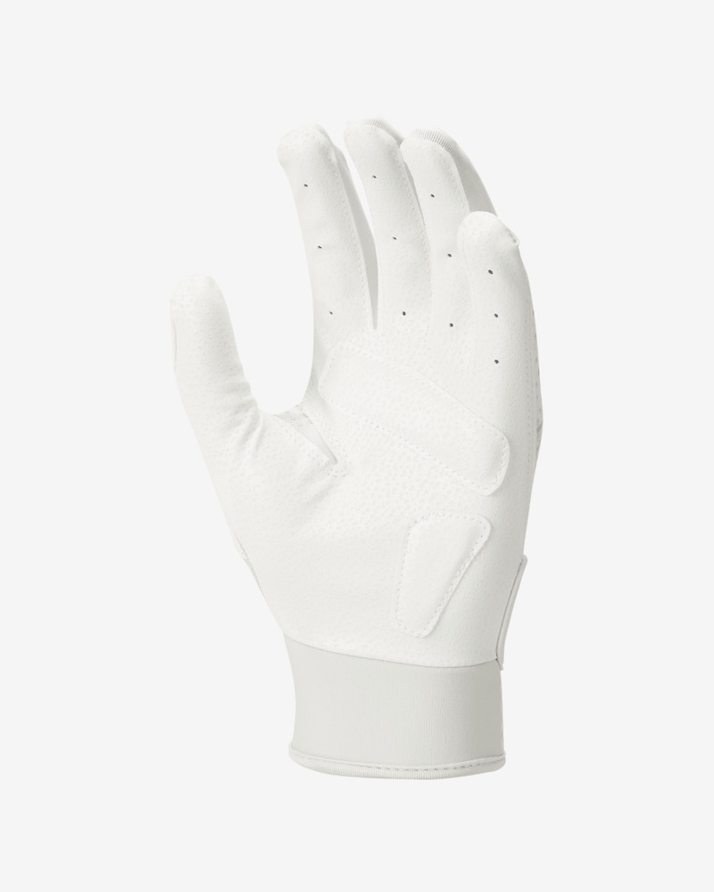 Nike Nike Women's Hyperdiamond Softball Gloves outlook
