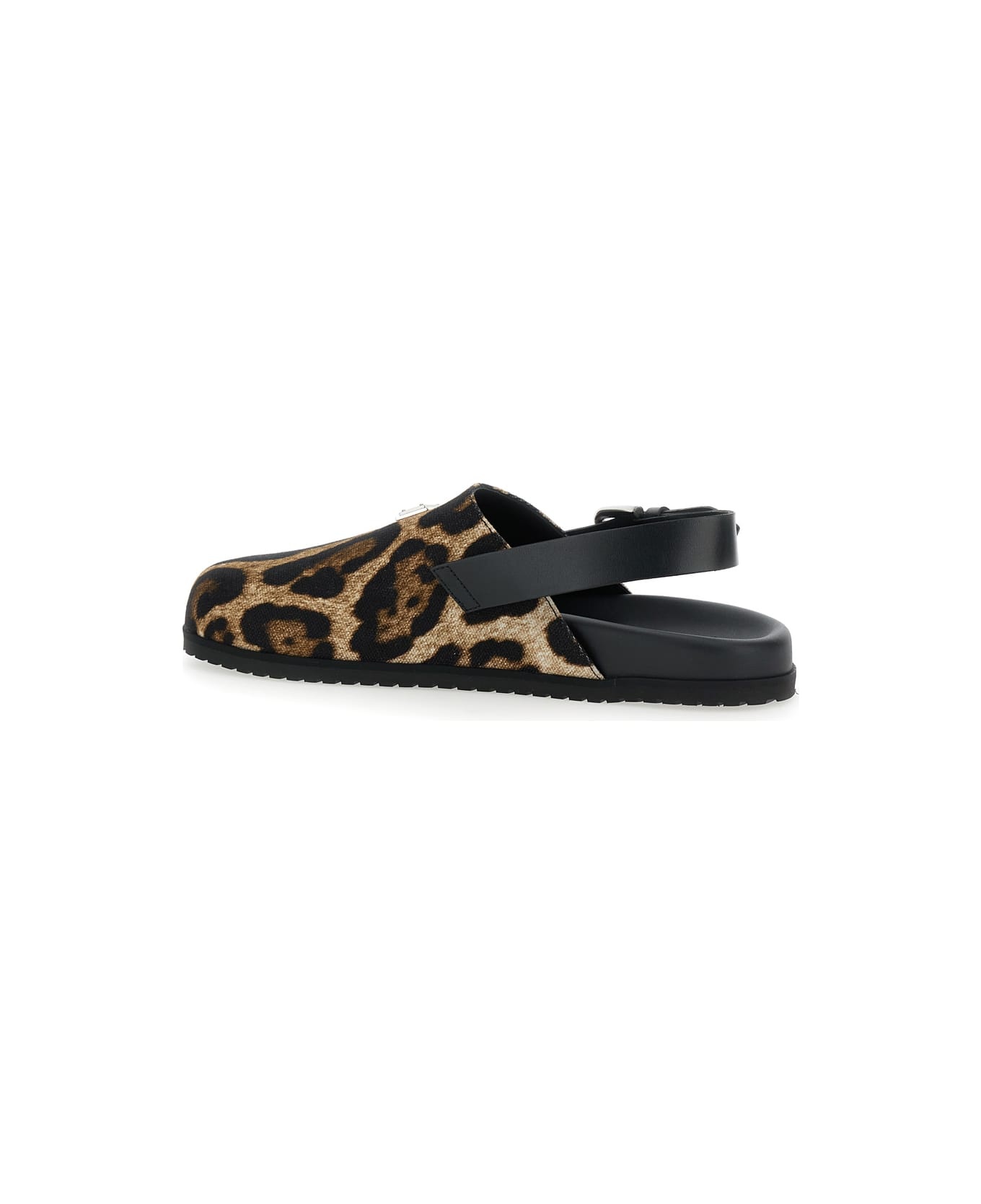 Leopard Dg Day - 3