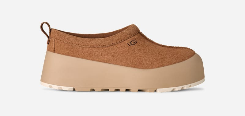 ® Women's Tasman StreetScape Suede Shoes in Chestnut/Mustard Seed 1