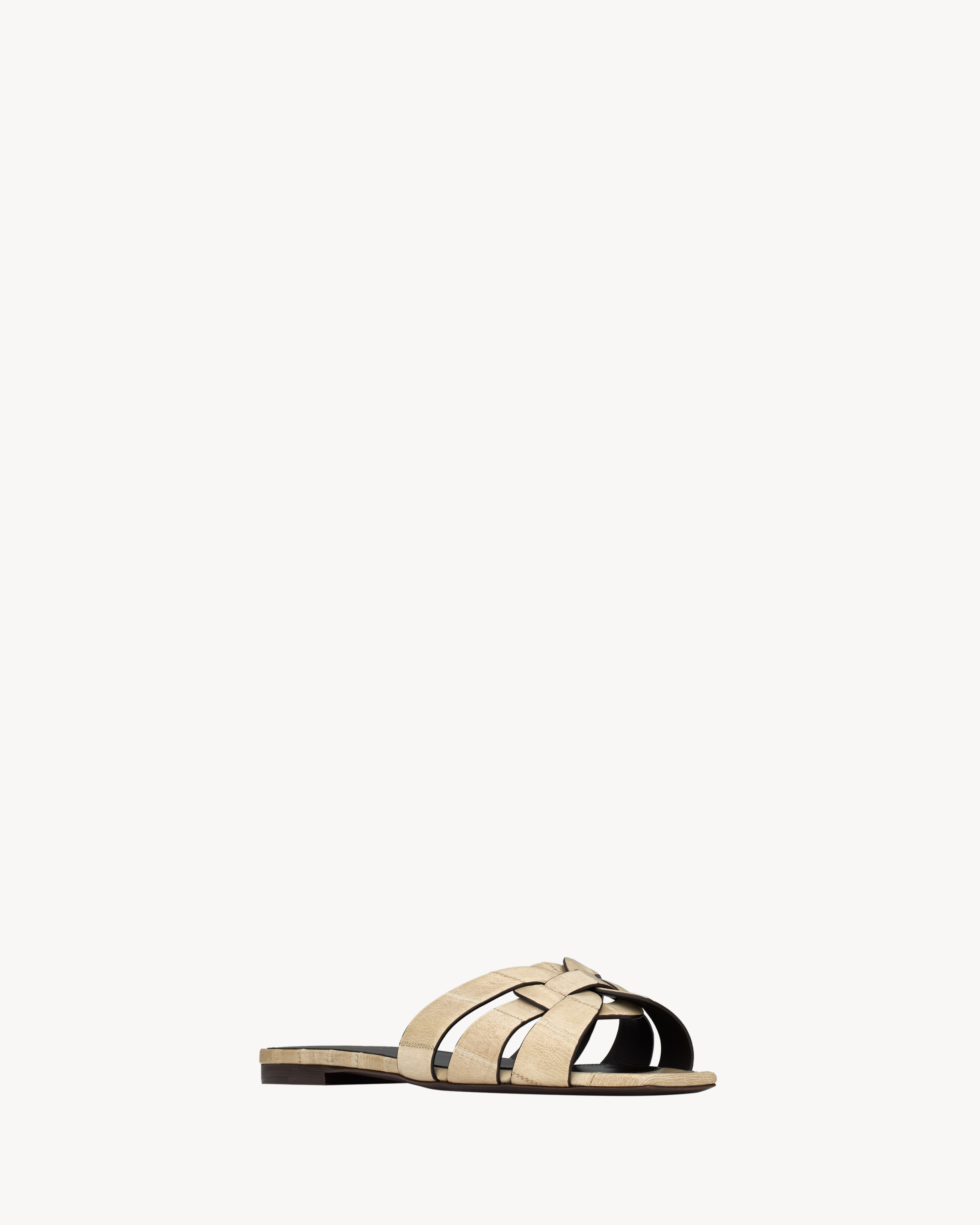 tribute mules in eel - 3